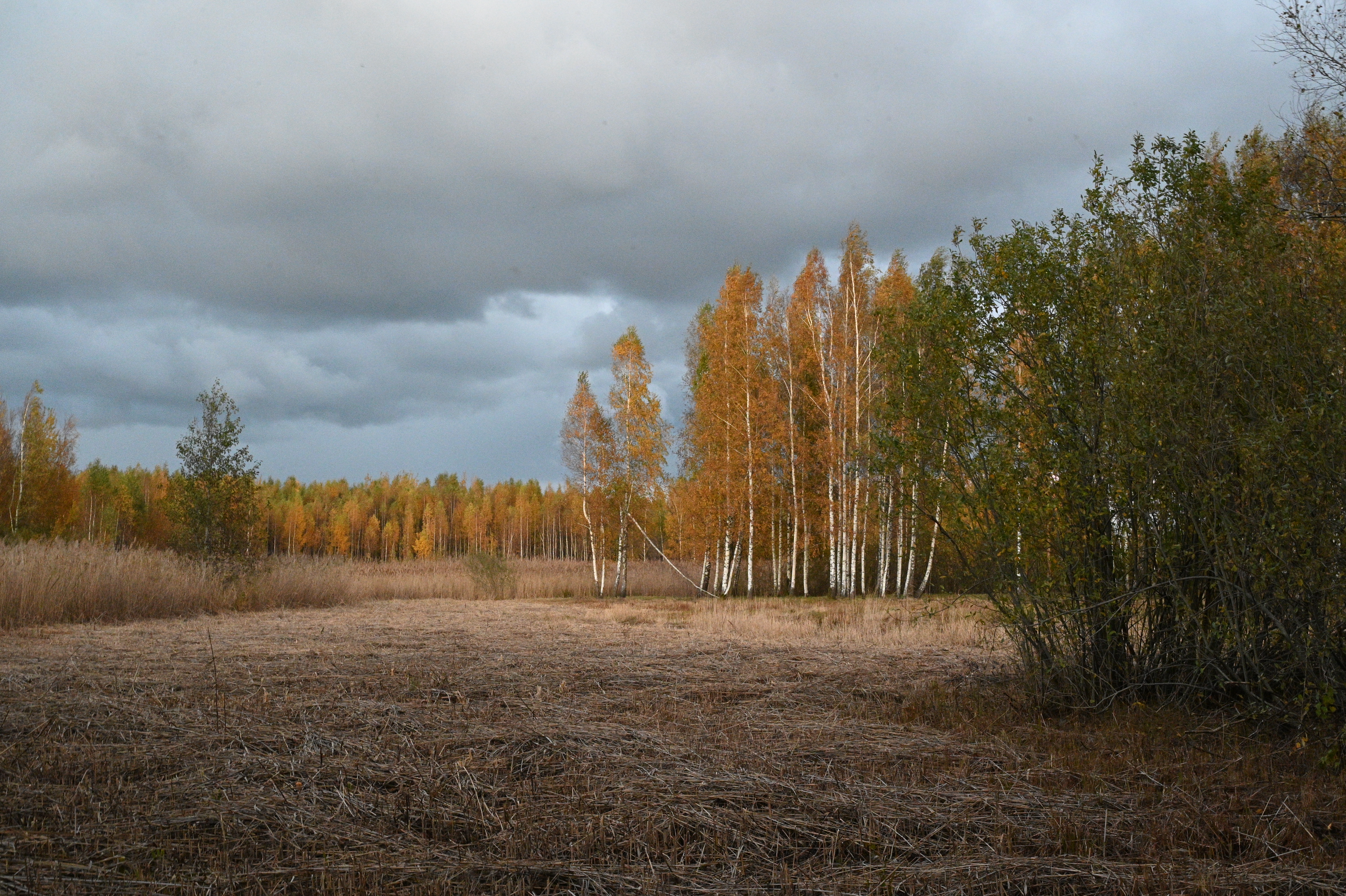 2025/10/18 - walk/DSC_0539.JPG